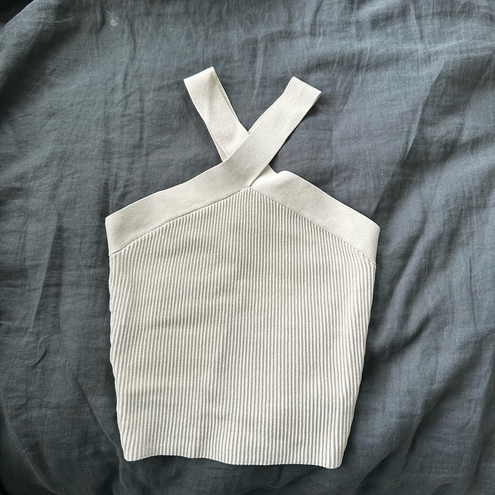 Aritzia Top